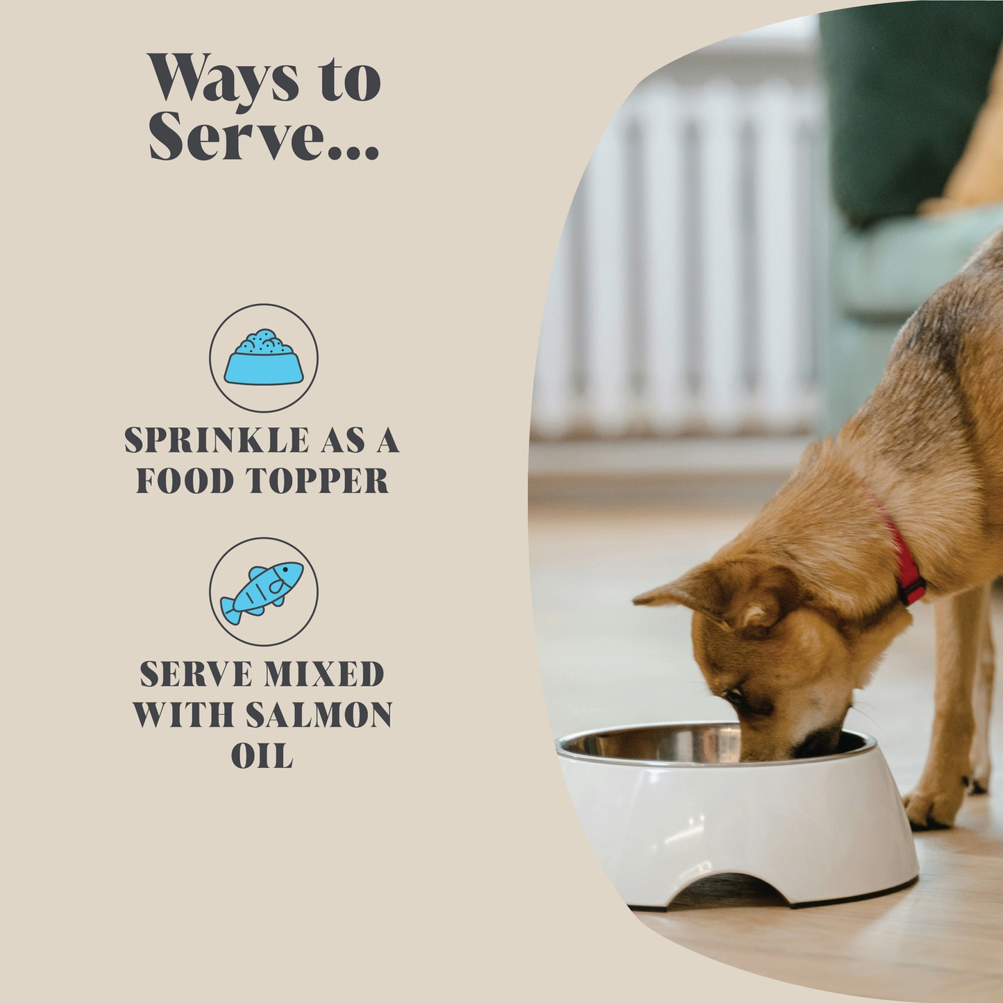 Natural Plaque Powder for Dogs!