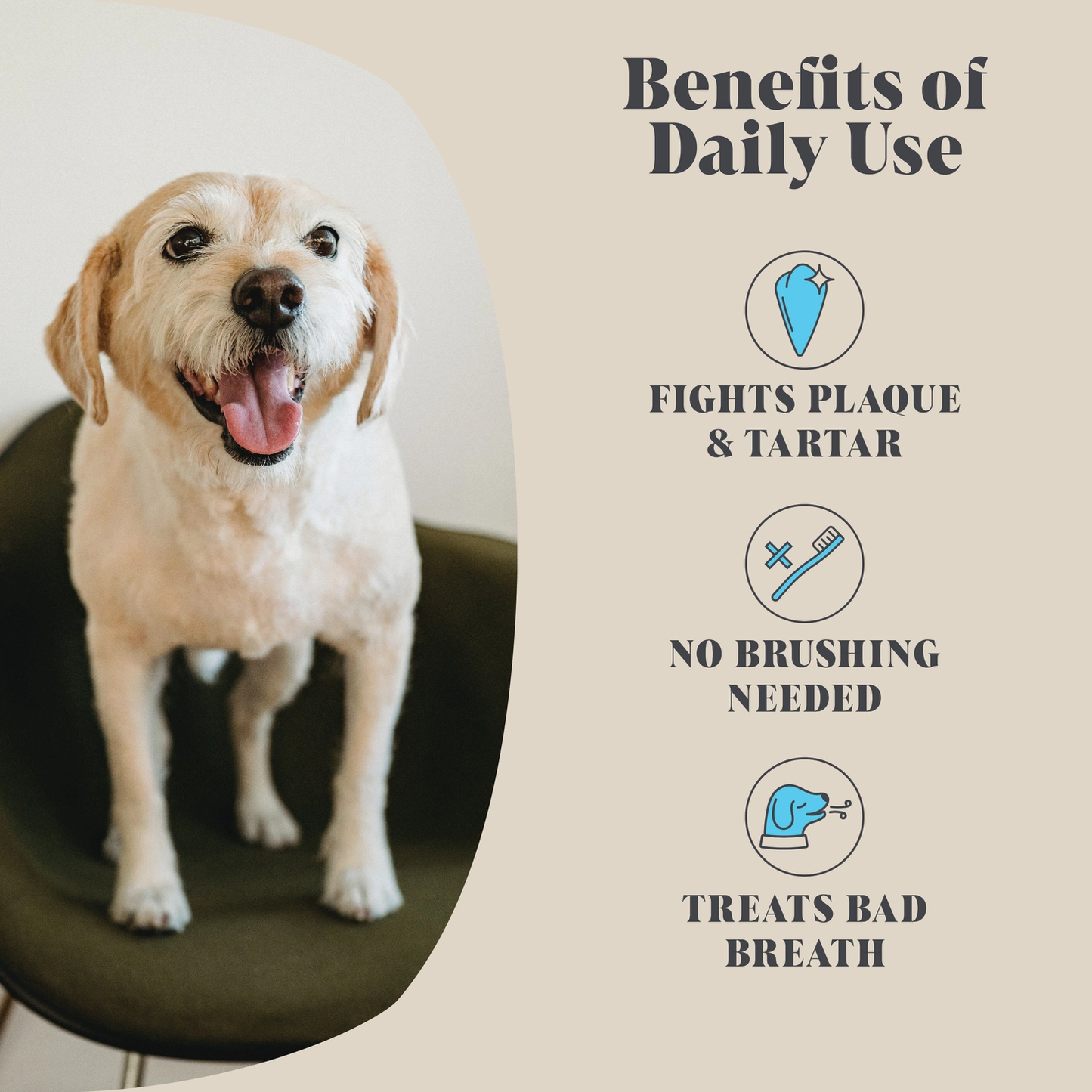 Natural Plaque Powder for Dogs!