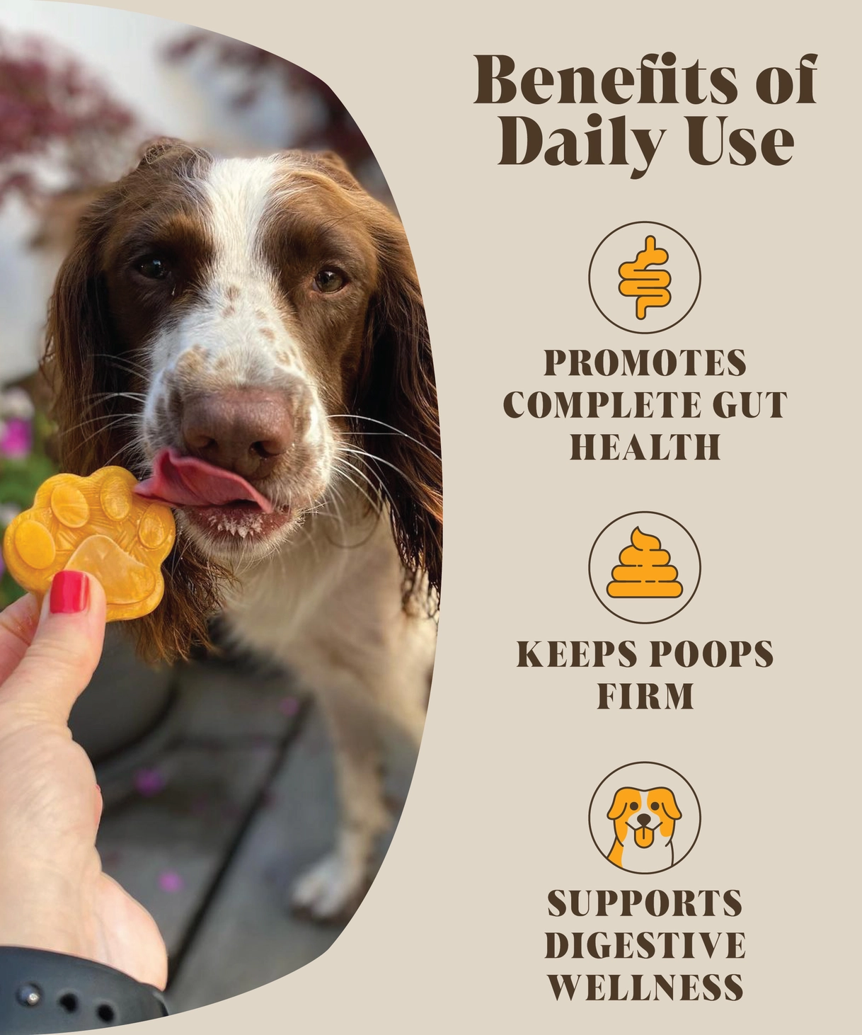 Pumpkin & Probiotics + Gut-Friendly Cultures!