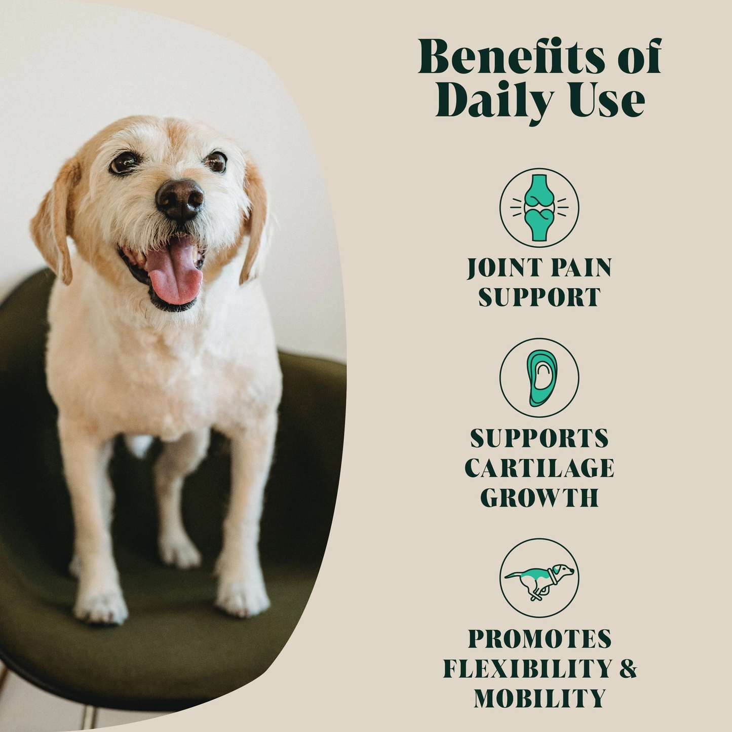Natural Joint Support, Hip, Ligament & Tendon Care!