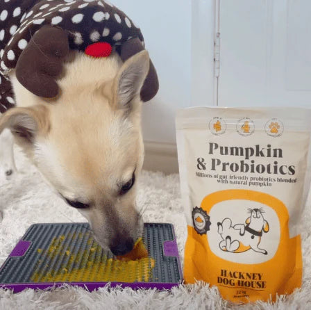Pumpkin & Probiotics + Gut-Friendly Cultures!