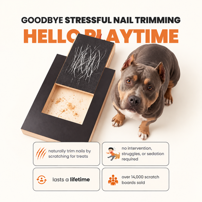 PawShield - Nail Scratch Board