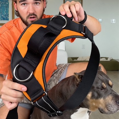 No-Pull Harness