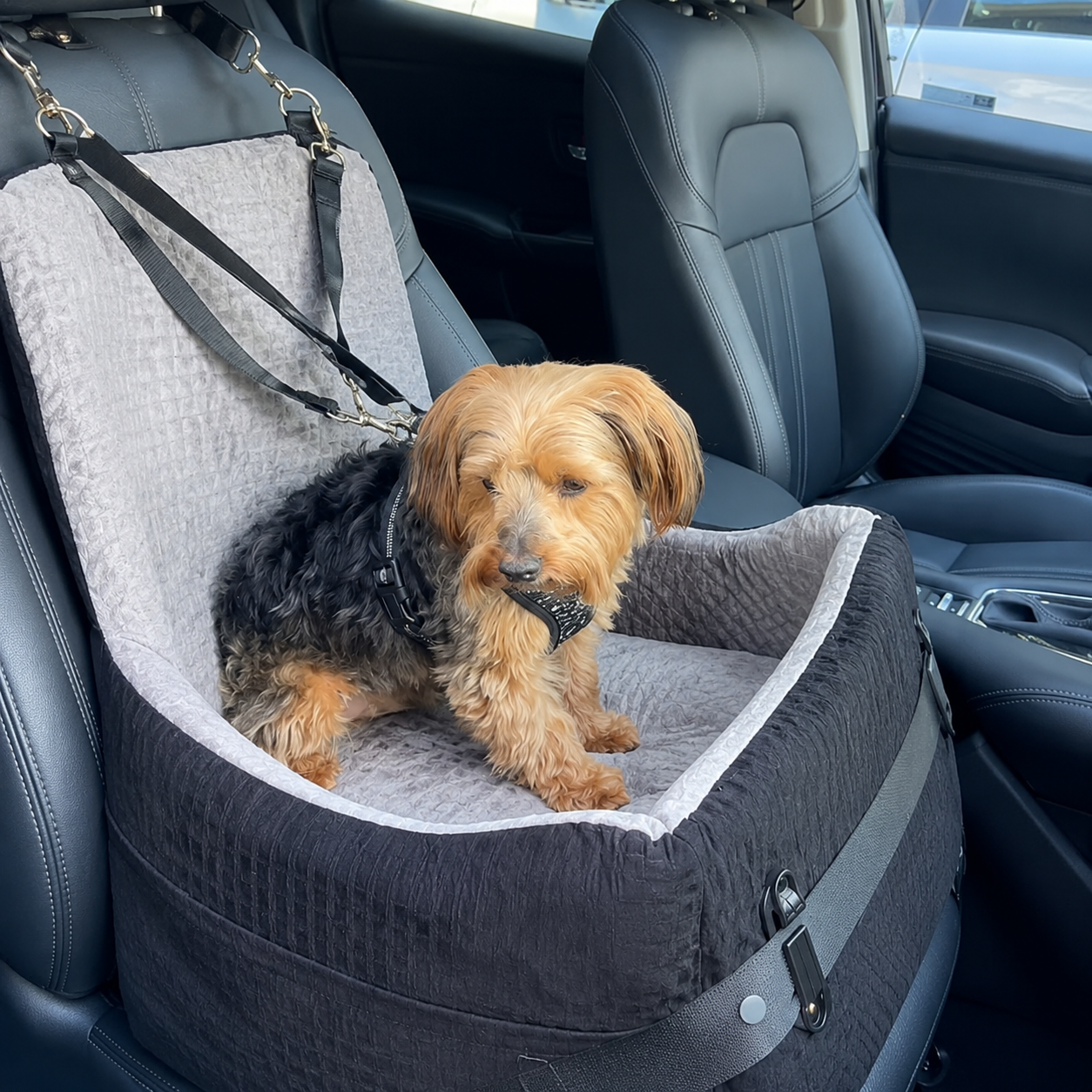 PawShield Elevate Dog Car Seat