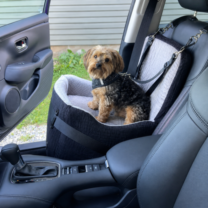 PawShield Elevate Dog Car Seat