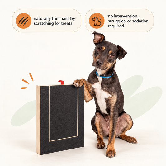 PawShield - Nail Scratch Board
