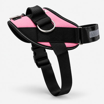 No-Pull Harness