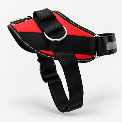 No-Pull Harness