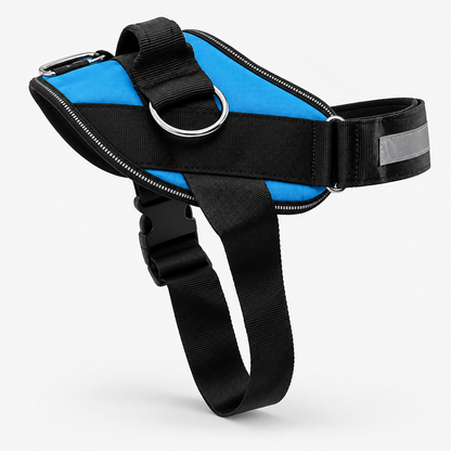 No-Pull Harness