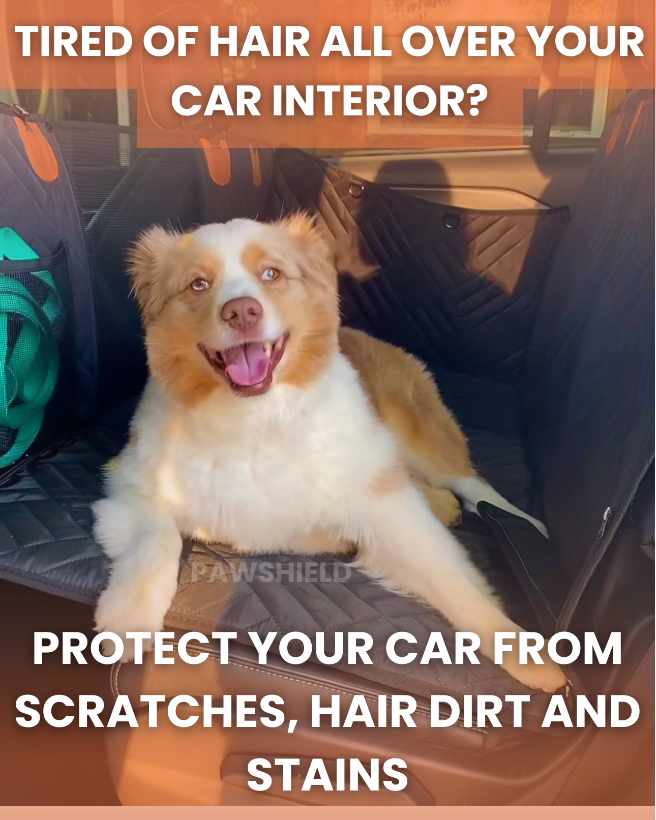 PawShield™ Car Seat Cover