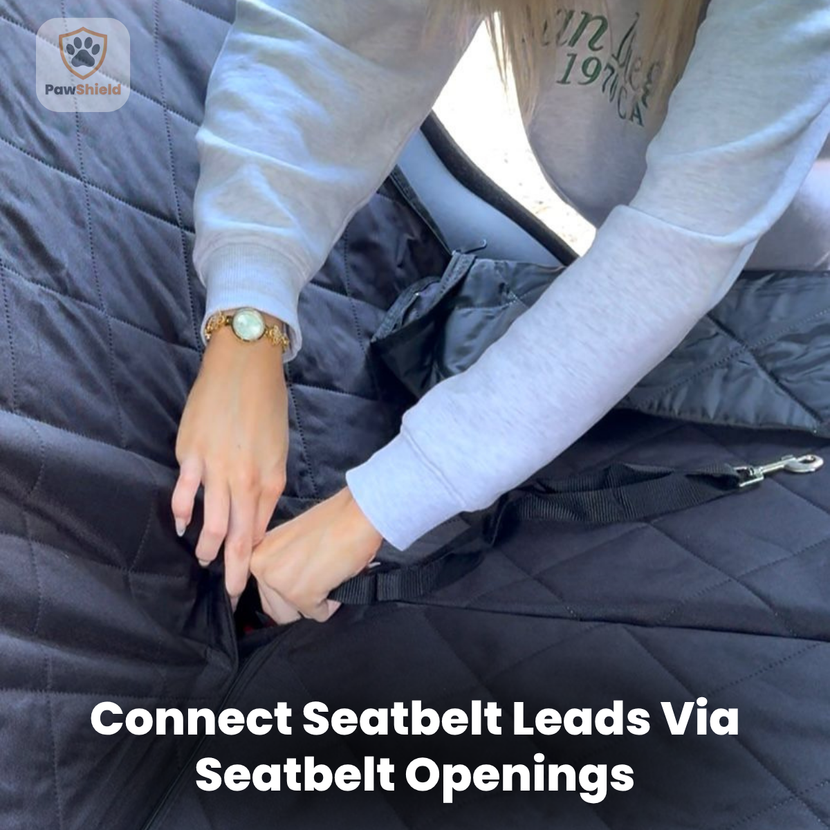 Person connecting seatbelt leads via seatbelt openings on a car seat cover with 'Pawshield' branding.