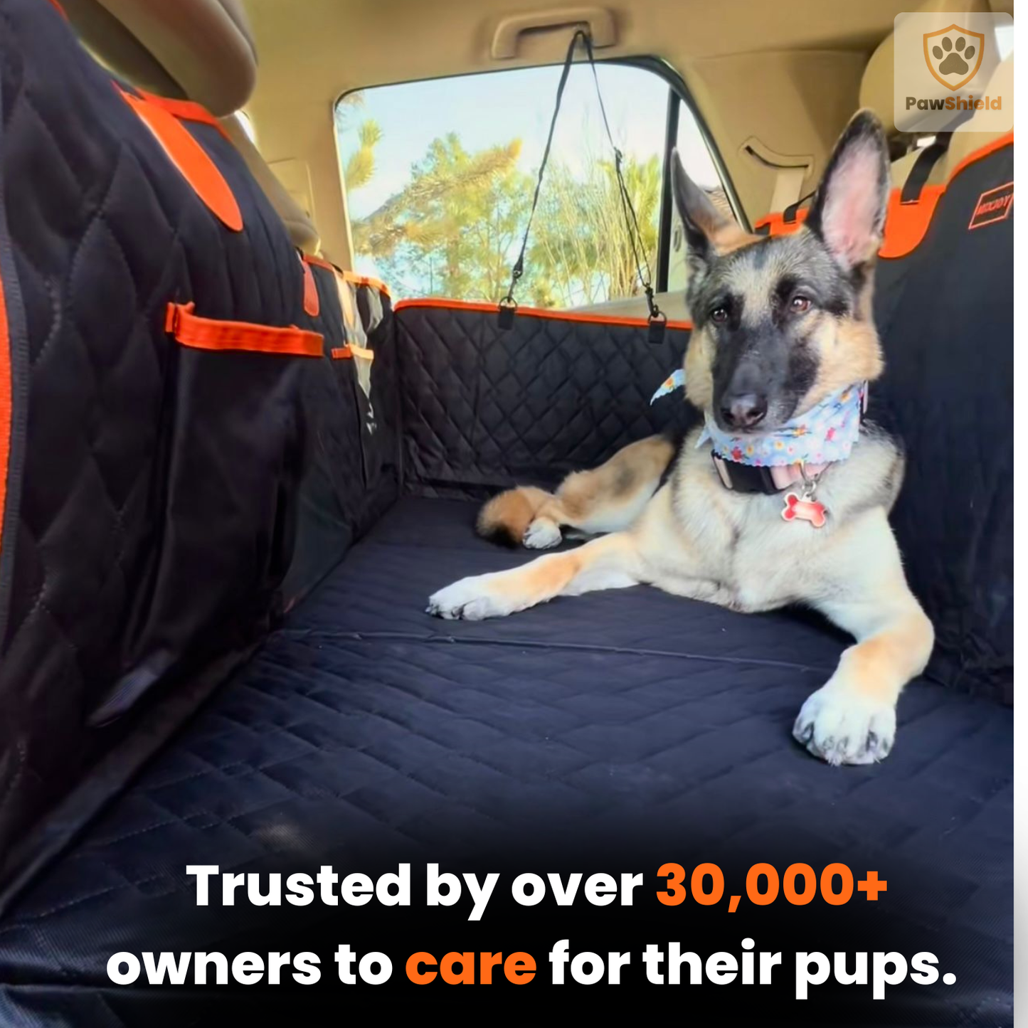 The PawShield - Dog Car Seat Cover 3.0