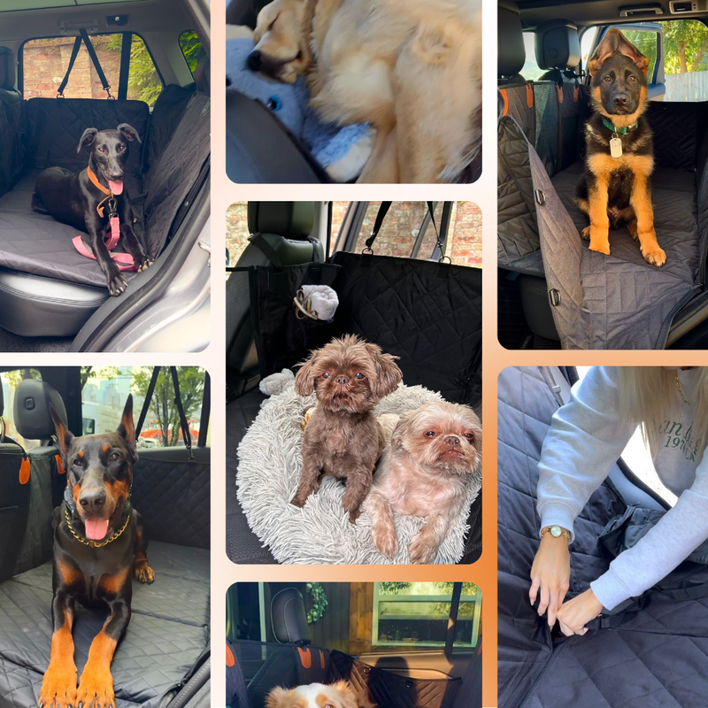 PawShield car seat cover in use