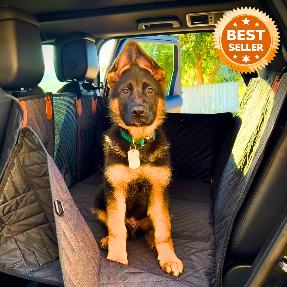 Dog sitting on a PawShield car seat cover.