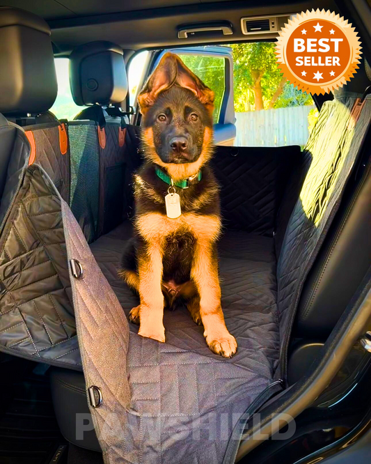Dog sitting on a PawShield car seat cover.