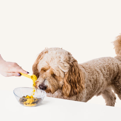 Pumpkin & Probiotics + Gut-Friendly Cultures!