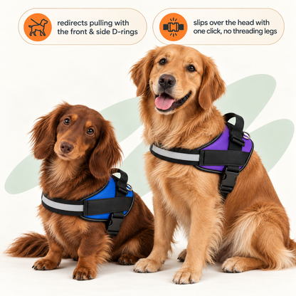 No-Pull Harness