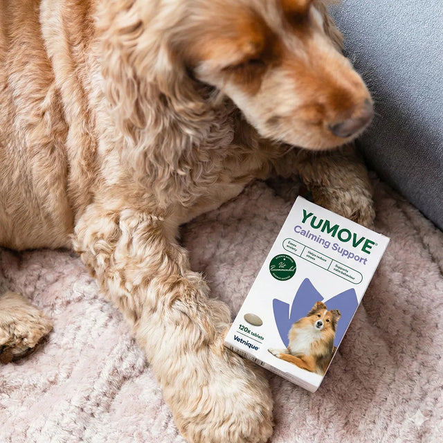 PawShield Settle - Calming Chews for Dogs