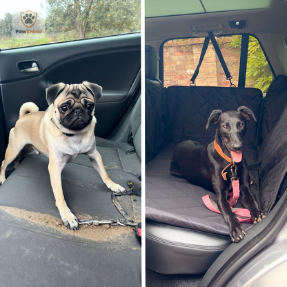 The PawShield - Dog Car Seat Cover 3.0